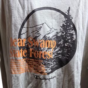 Champion Gray and Orange Graphic Tee 2XL